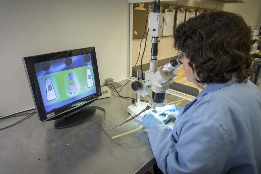 worker using microscope
